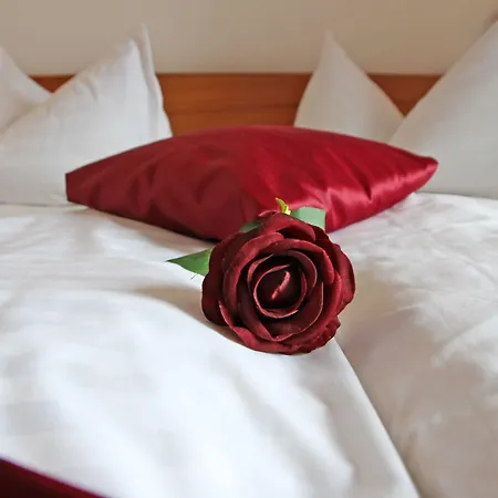 Seeberg 호텔 Františkovy Lázně