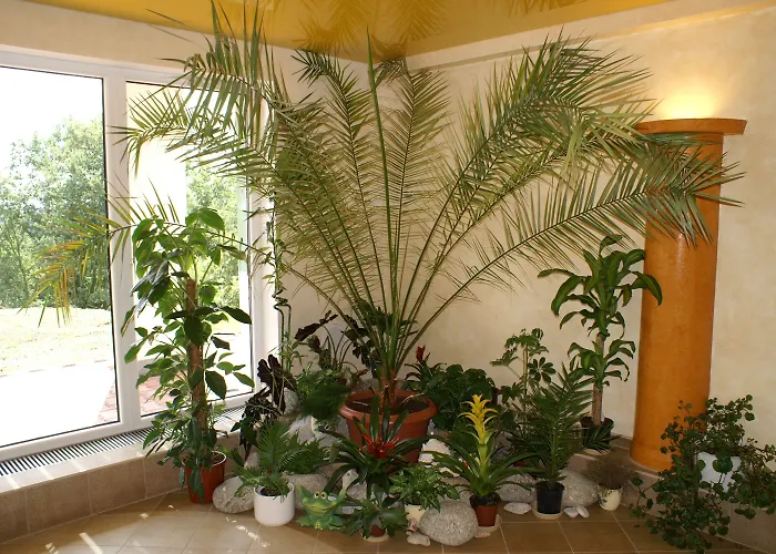 Seeberg 3* Františkovy Lázně